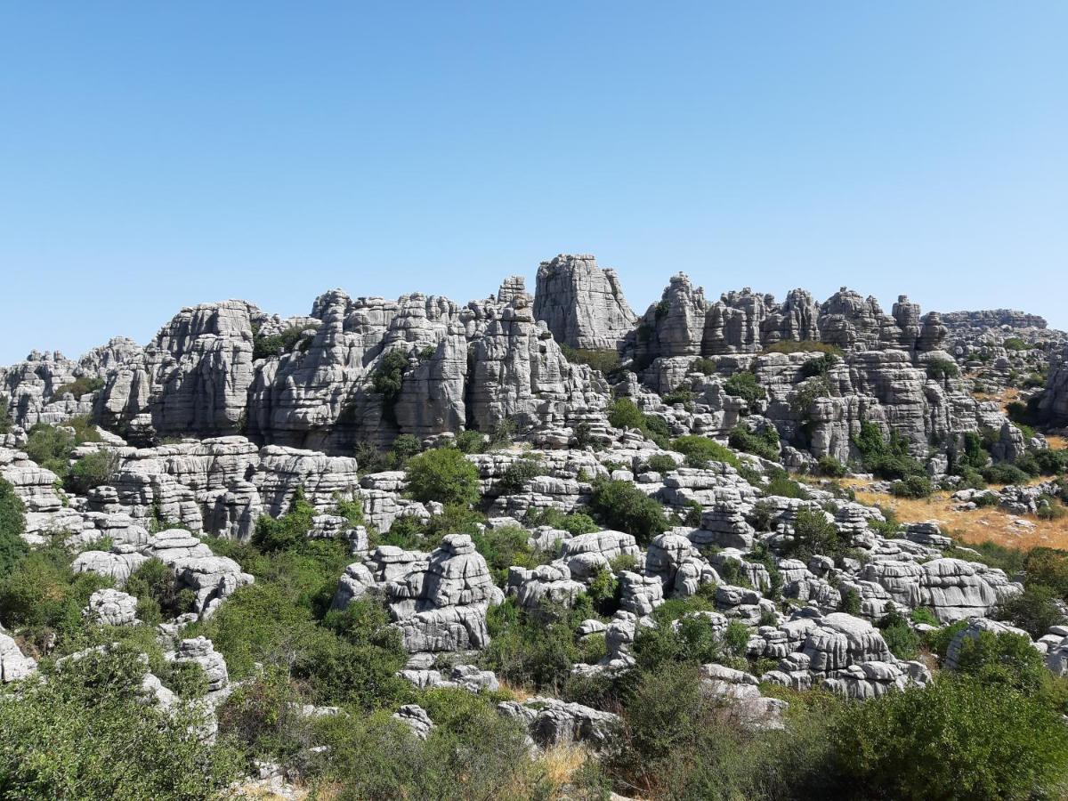 Casa Rural La Parada La Joya Kültér fotó