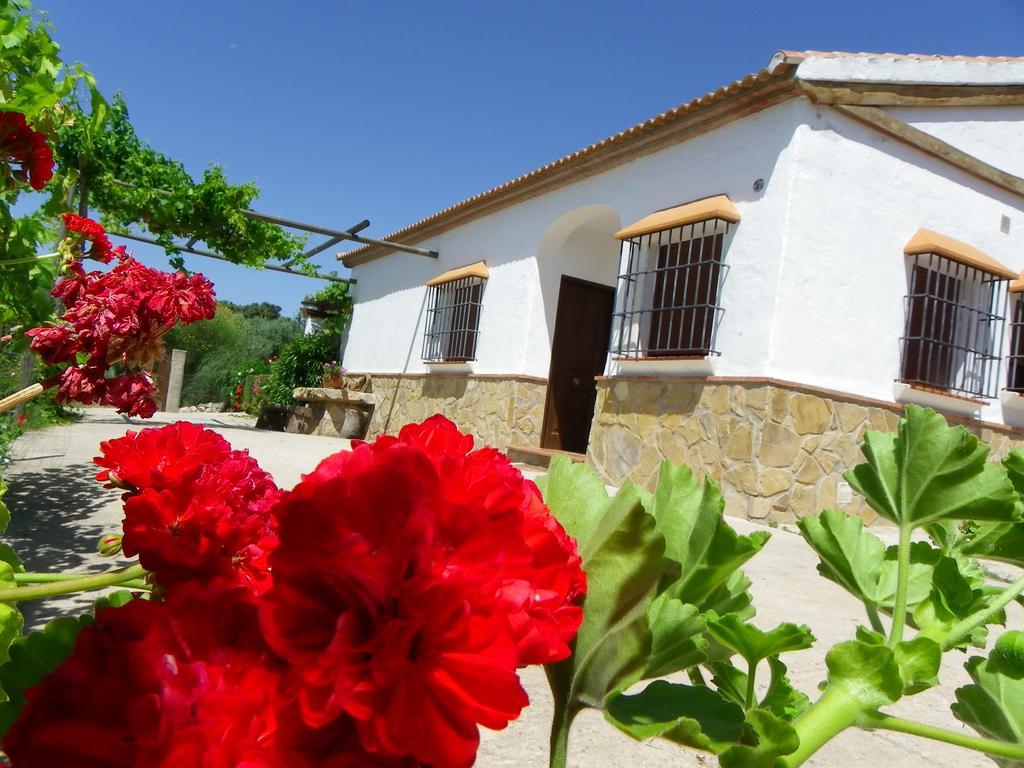 Casa Rural La Parada La Joya Kültér fotó